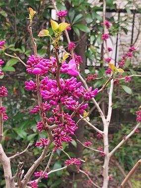 20260330_105233.jpg