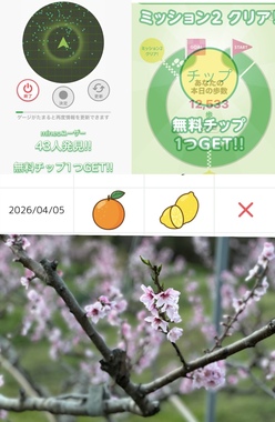IMG_2938.jpeg