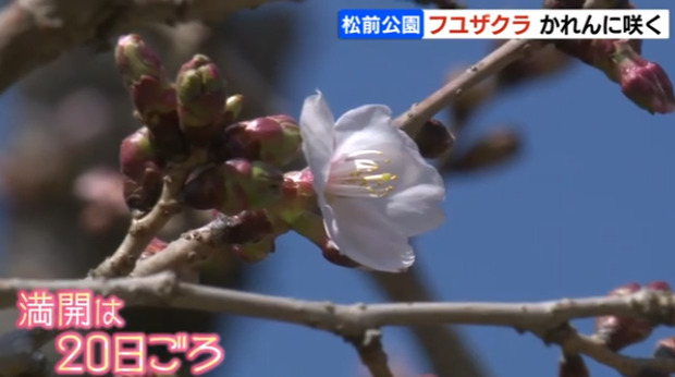 Screenshot_20260405-204744_(1).png