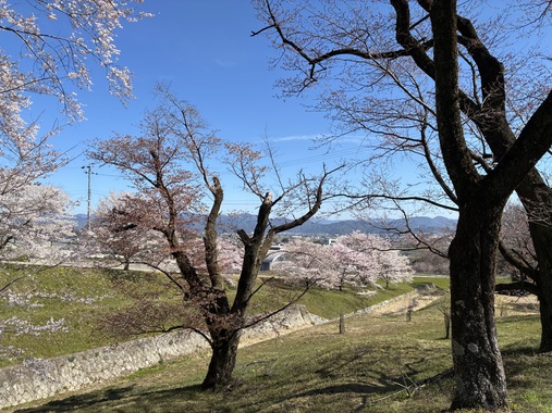 IMG_5778.jpeg