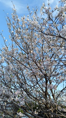 IMG20260405170424.jpg