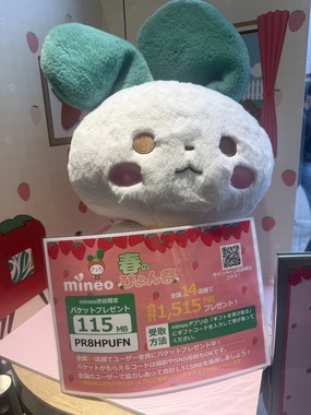 IMG_8932.jpeg