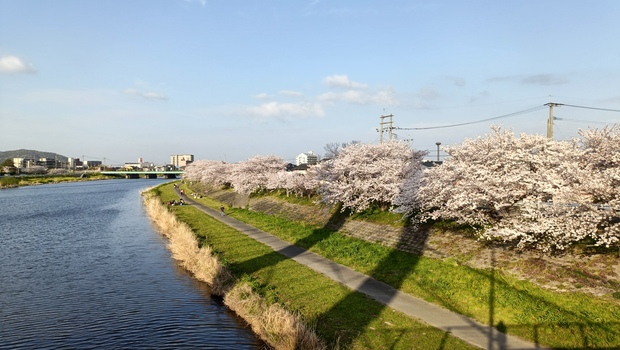 IMG20260405171127.jpg
