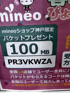 IMG_2444.jpeg