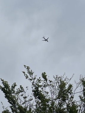 IMG_3987.jpeg