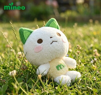 fullsize_image_2.jpg