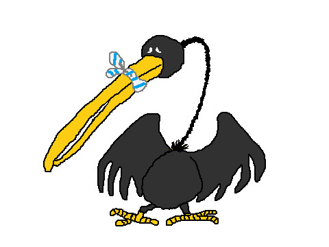 IMG_0096.png