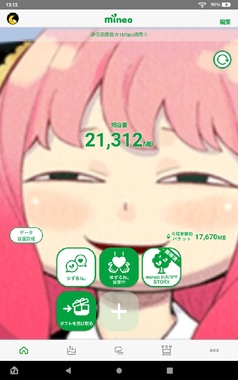 21312.jpg