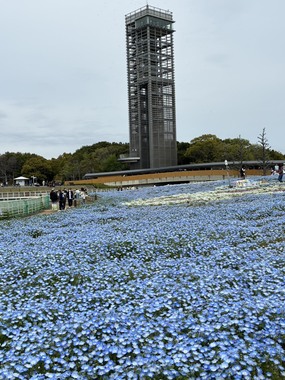 1775795210613.jpg