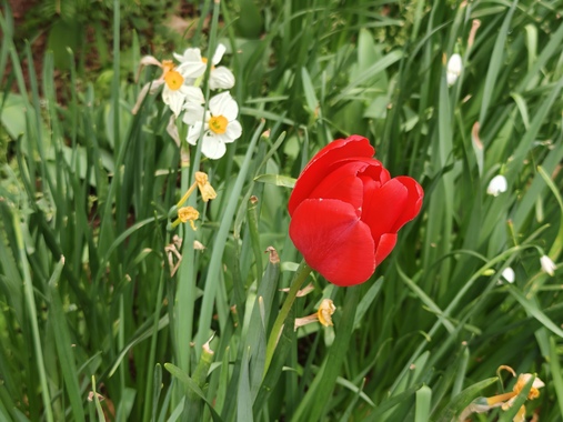 IMG20260410073941.jpg