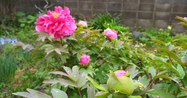 Screenshot_20260410-194448_2.png