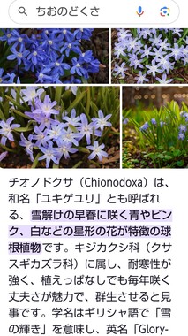 Screenshot_20260411-124558_2.png