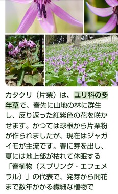 Screenshot_20260411-134527_2.png