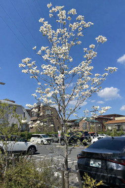 FD438ECB-527E-41A8-A8BB-EF51CBD784EE.png