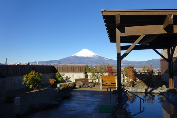 IMG_1599.jpeg