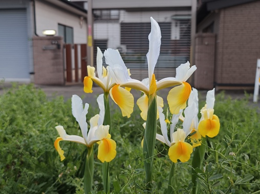 IMG20260412052444.jpg