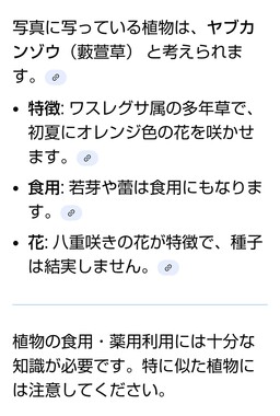 Screenshot_20260412-174859_2.png