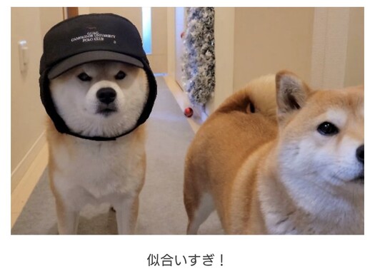 Screenshot_20260403-145026_2.png
