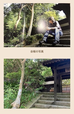 IMG_5062.jpeg