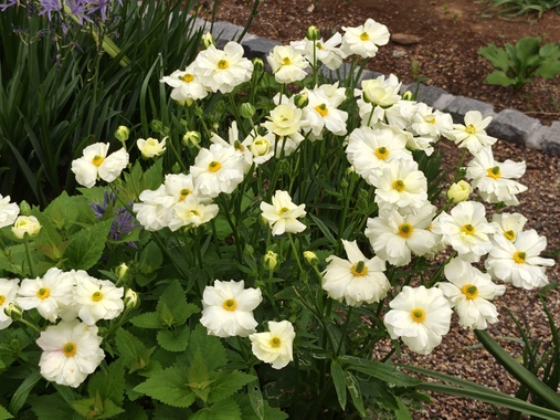 IMG20260414080304.jpg