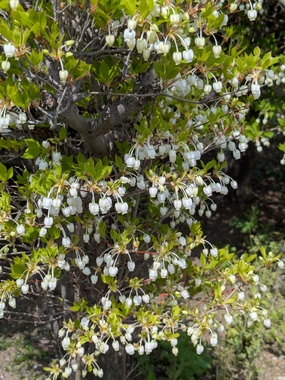 PXL_20260414_024009566.MP.jpg