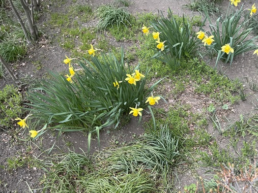 IMG_8995.jpeg