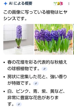 Screenshot_20260416-195804_2.png