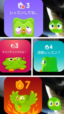 20260416_222059-COLLAGE.jpg