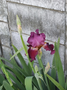 IMG20260417060930.jpg