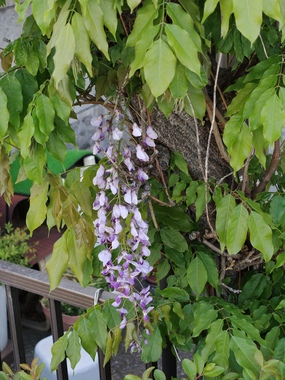 IMG20260417061113.jpg