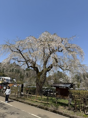 IMG_5727.jpeg