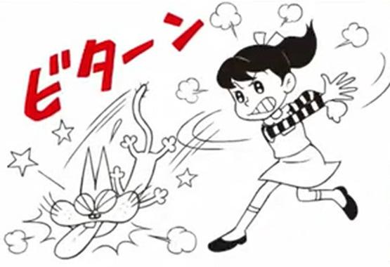 s.png