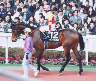 Fusaichi_Concorde_19960309.jpg