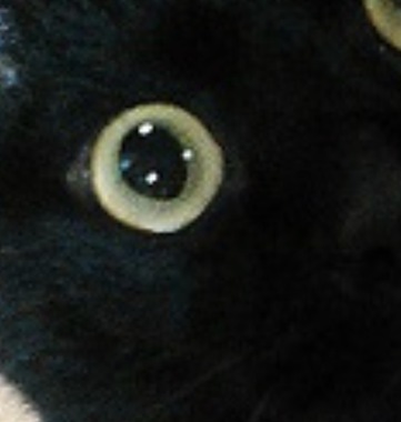 IMG_5282.jpeg