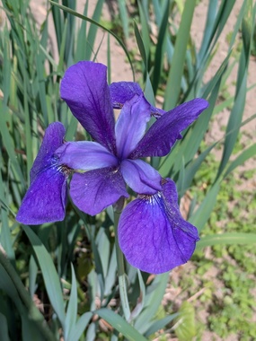 PXL_20260420_032726131.MP.jpg