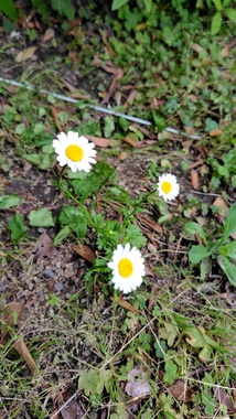 260420105207381.JPG