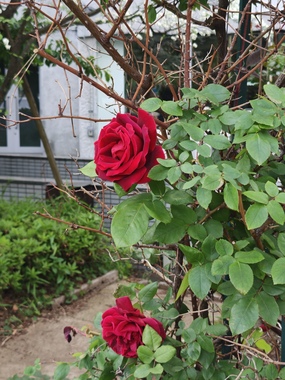 IMG20260421081723.jpg