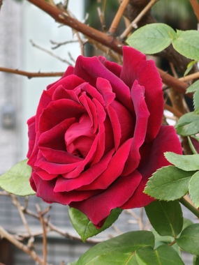 IMG20260421081732.jpg