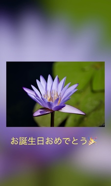 IMG_4106.jpeg