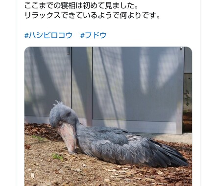 Screenshot_20260418-205133_2.png