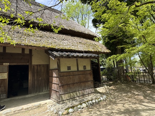 IMG_4037.jpeg