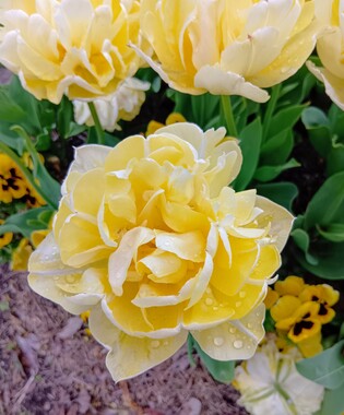 260423125012719_3.JPG
