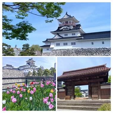 20260424_135458-COLLAGE.jpg
