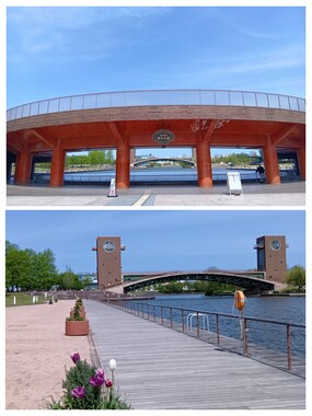 20260424_115605-COLLAGE.jpg