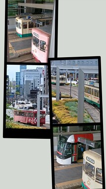 20260424_123535-COLLAGE.jpg