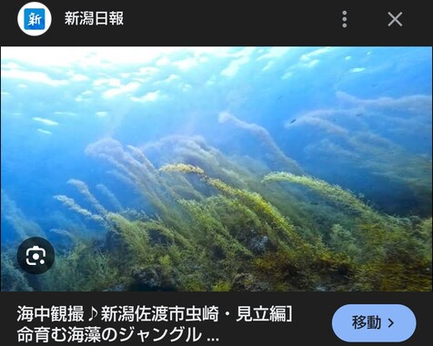 Screenshot_20260425-090650_2.png