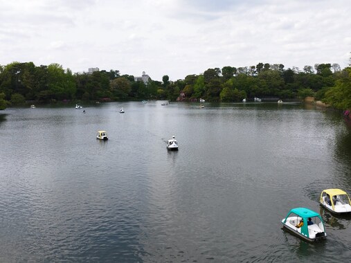IMG_20260425_135603_2.jpg