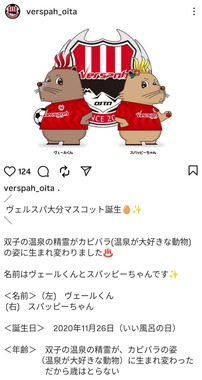 Screenshot_20260425-205255.png