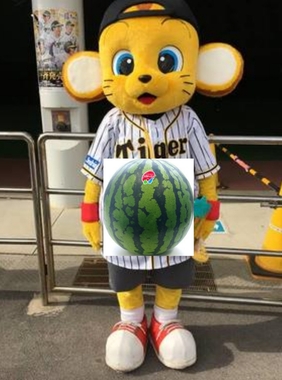 fullsize_image(1).jpg