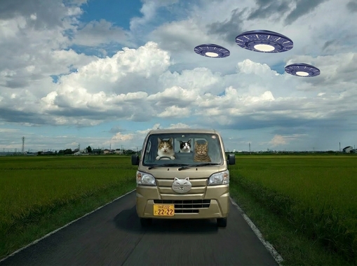 82240da0-8940-4335-a62f-1f0159e4efee.jpeg